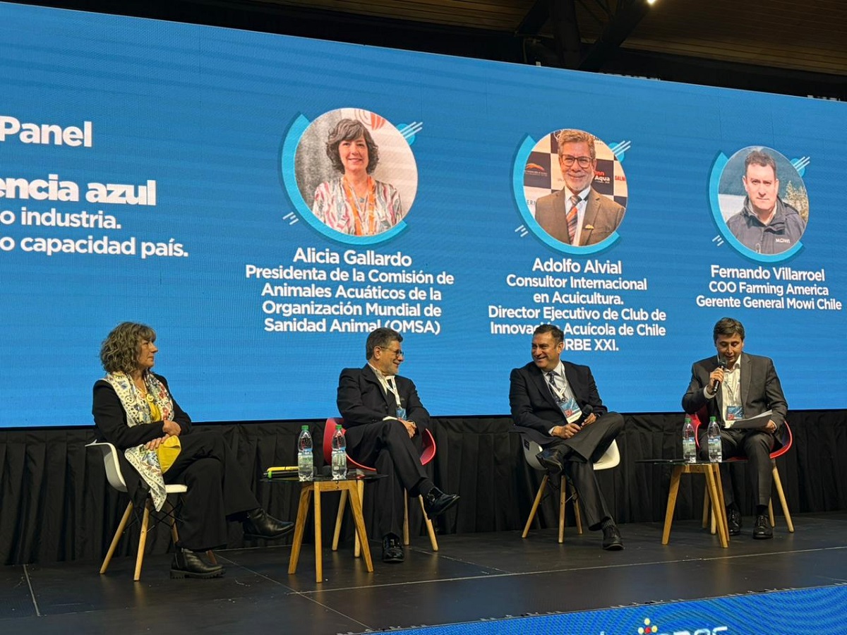Conmemoración de los 50 años de la salmonicultura: panel abordó los desafíos para consolidar a Chile como una potencia azul