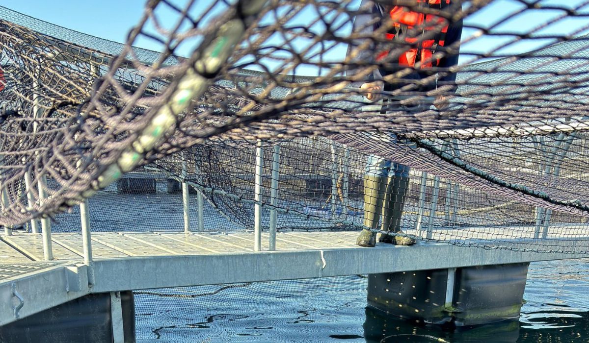 Sernapesca fiscaliza presunto escape de peces en el Lago Llanquihue