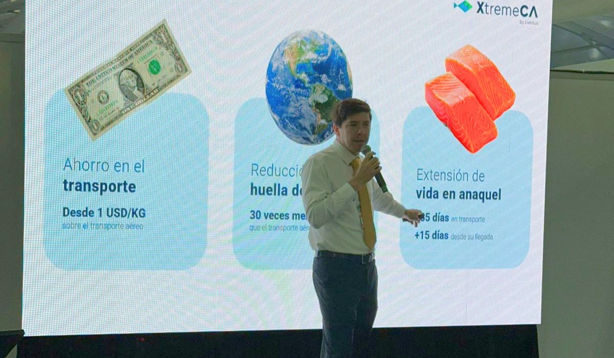 Extreme CA de Liventus impulsa solución para exportar salmón fresco por vía marítima para largas distancias
