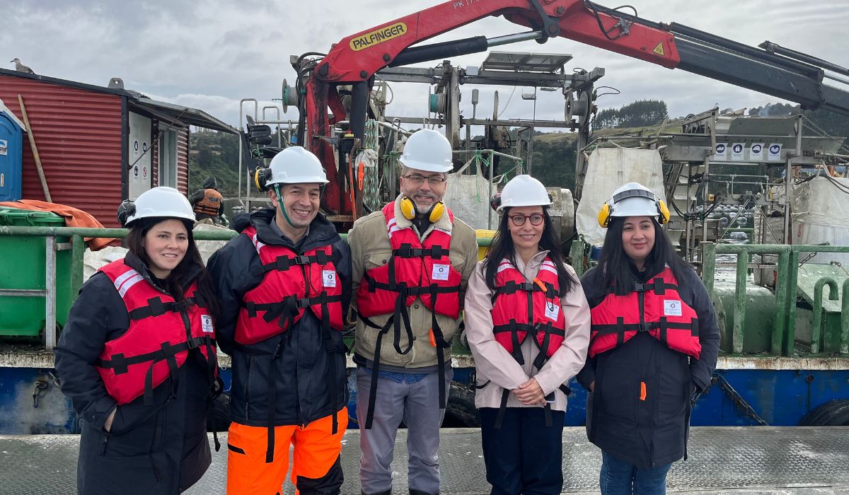 ProChile destacó en Chiloé el potencial exportador del mejillón chileno