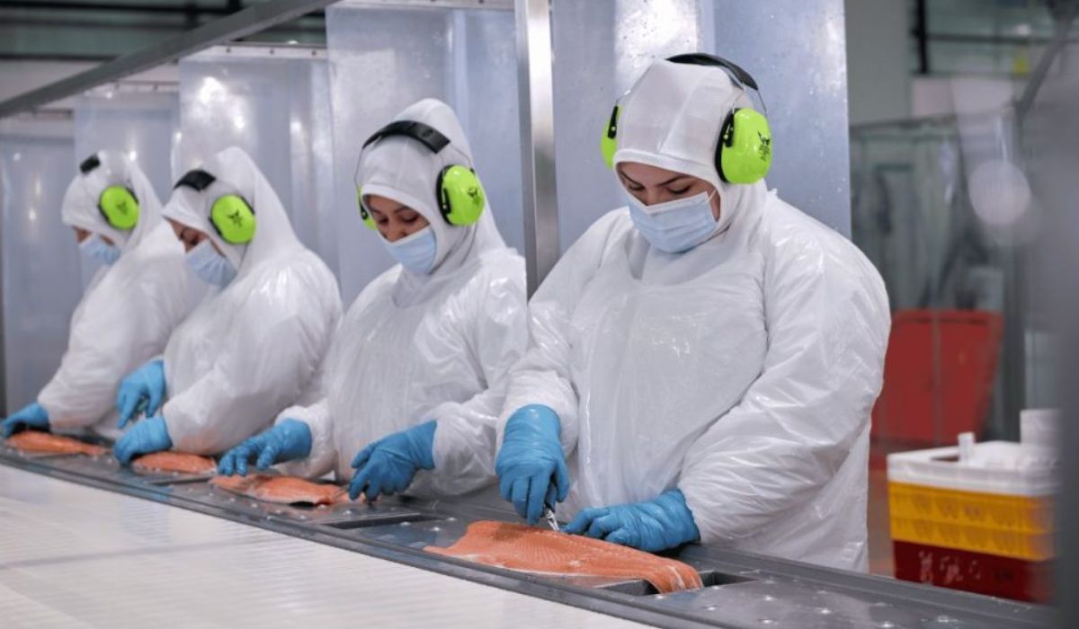 Exportaciones de salmón chileno a Rusia caen 47,1% en volumen durante enero-abril de 2026