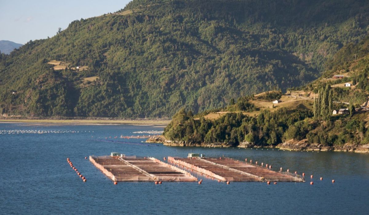 Los Lagos define sus desafíos productivos hacia 2030 con foco en tecnología, inversión y crecimiento