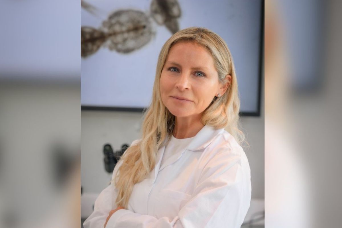 Sudvet Corp destaca próxima apertura de sus oficinas en Noruega