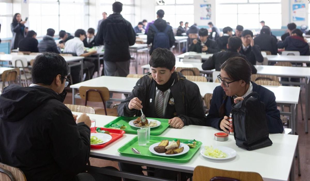 Puerto Montt impulsa consumo de merluza austral en alimentación escolar