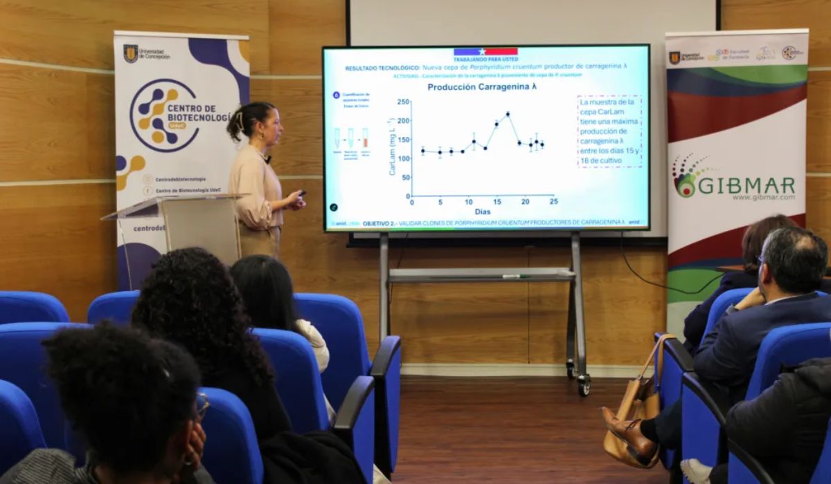 Desarrollan alternativa desde microalgas para producir carragenina usada en alimentos y fármacos