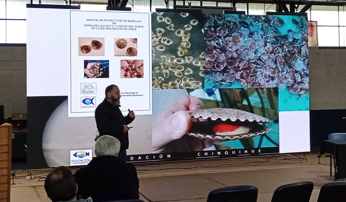 Difunden potencial del cultivo de ostra japonesa para la acuicultura de pequeña escala en La Araucanía