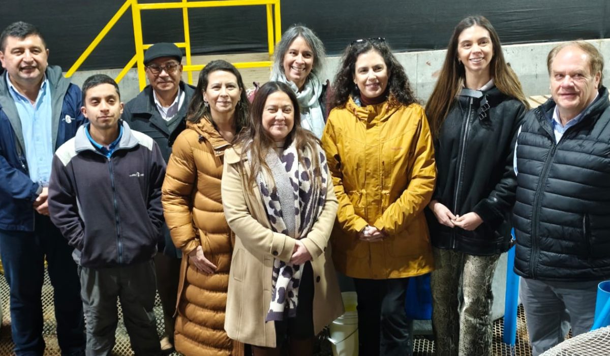 Opinión: ¿Nuevas rutas o caminos ya trazados? La consolidación de la "tercera industria" en Chile