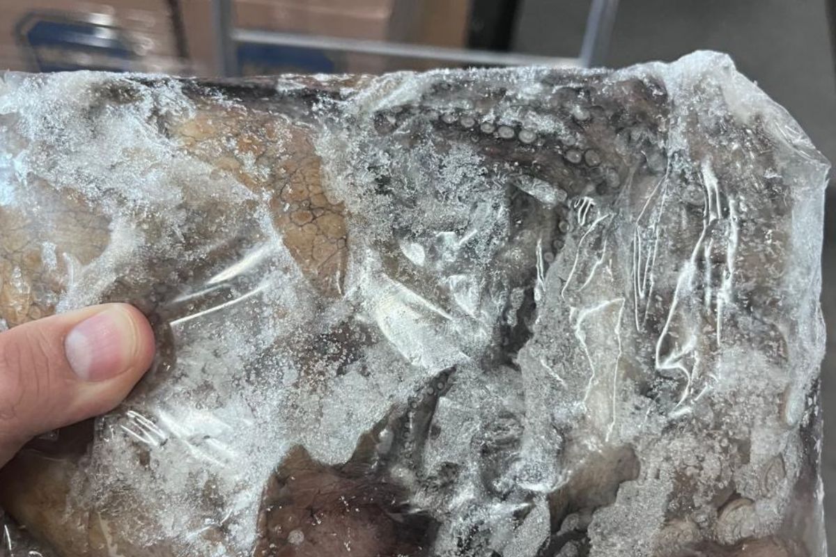 Sernapesca incauta 4,6 toneladas de productos del mar en la Región Metropolitana