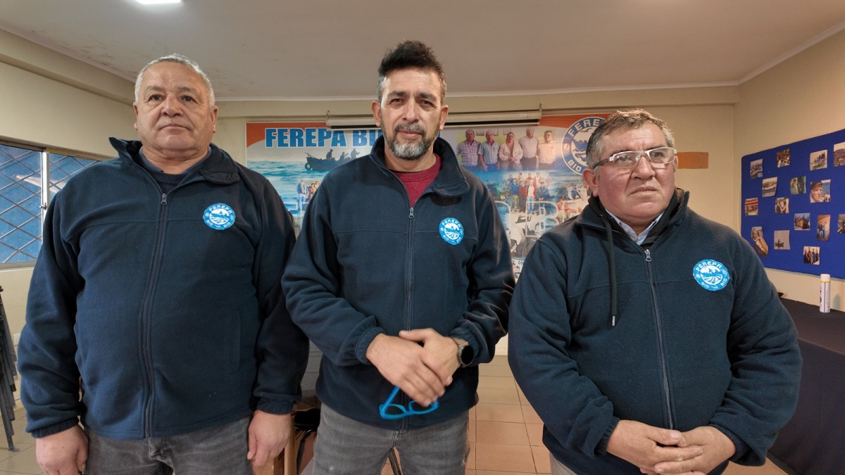 Ferepa Biobío manifiesta reparos a proyecto que propone reponer el arrastre para la captura de jibia