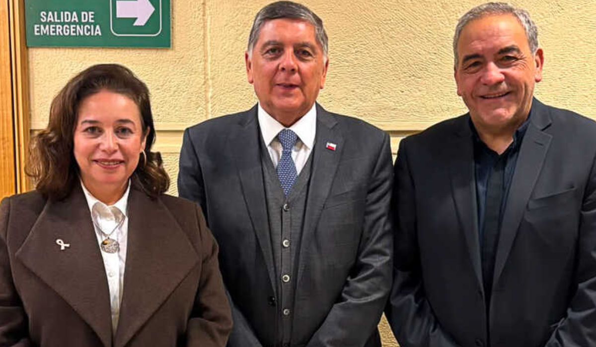 Solicitan mesa birregional tras aumento de accidentes fatales en la industria salmonera