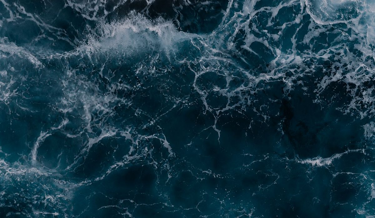 Policy brief propone reforzar monitoreo y adaptación de pesca y acuicultura ante acidificación oceánica