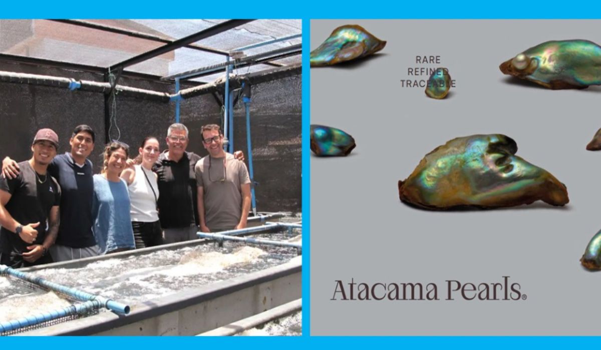 Atacama Pearls concreta primera exportación de perlas de abalón desde Antofagasta