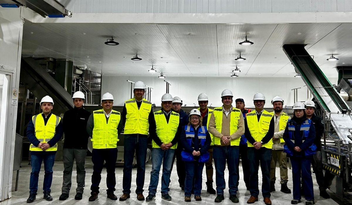 Blumar desarrolla sus primeros proyectos bajo la Ley I+D para mejorar productividad y eficiencia
