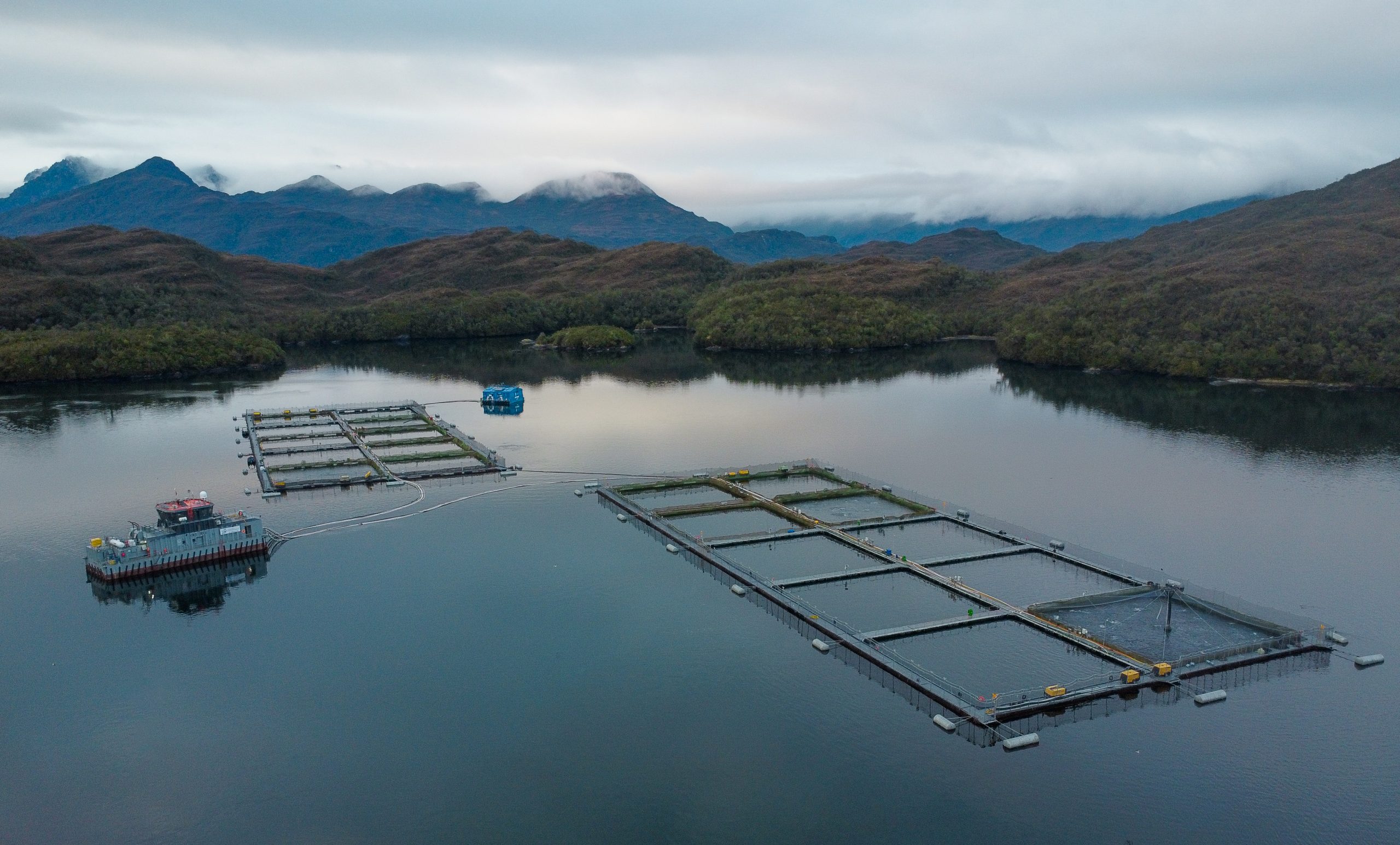 Salmones Camanchaca recibe certificación por avances en cambio climático y economía circular
