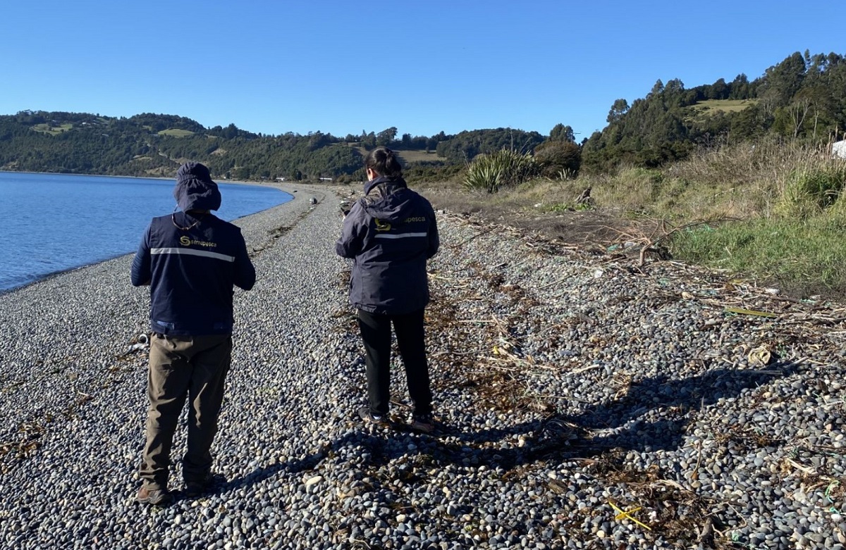 Sernapesca fiscaliza limpieza de playa Detif en Chiloé tras denuncia ciudadana