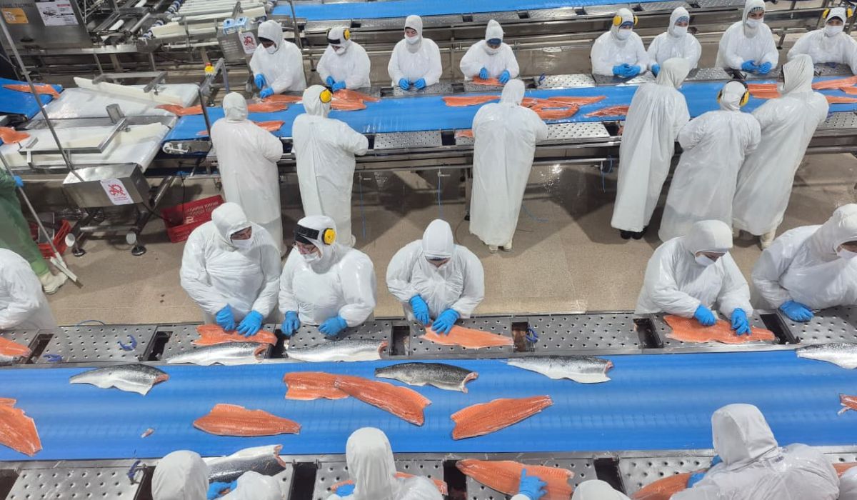 Chile avanza en la reanudación de exportaciones de productos del mar a Rusia