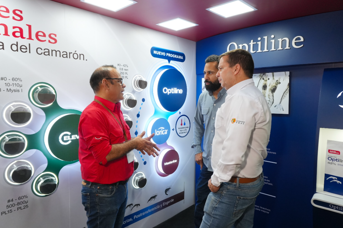 Skretting Ecuador redefine la nutrición del camarón con el lanzamiento de la extensión completa del programa Optiline