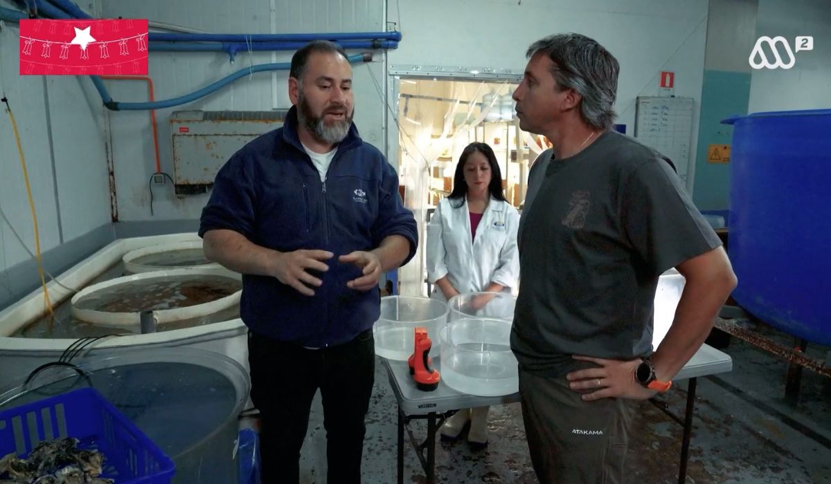 Agua Viva aborda cultivo de ostra japonesa y diversificación de la pesca artesanal