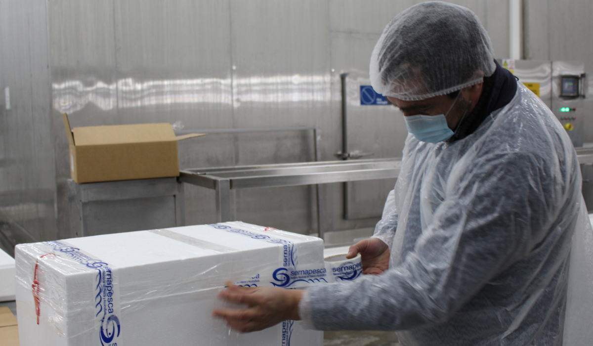Chile e India avanzan en certificación sanitaria para ampliar comercio pesquero y acuícola