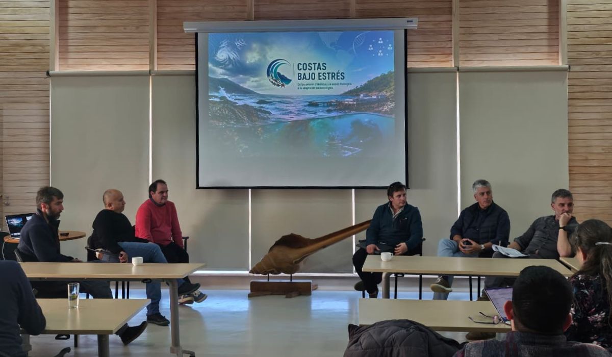 Eventos climáticos extremos amenazan captación de semillas y producción de choritos
