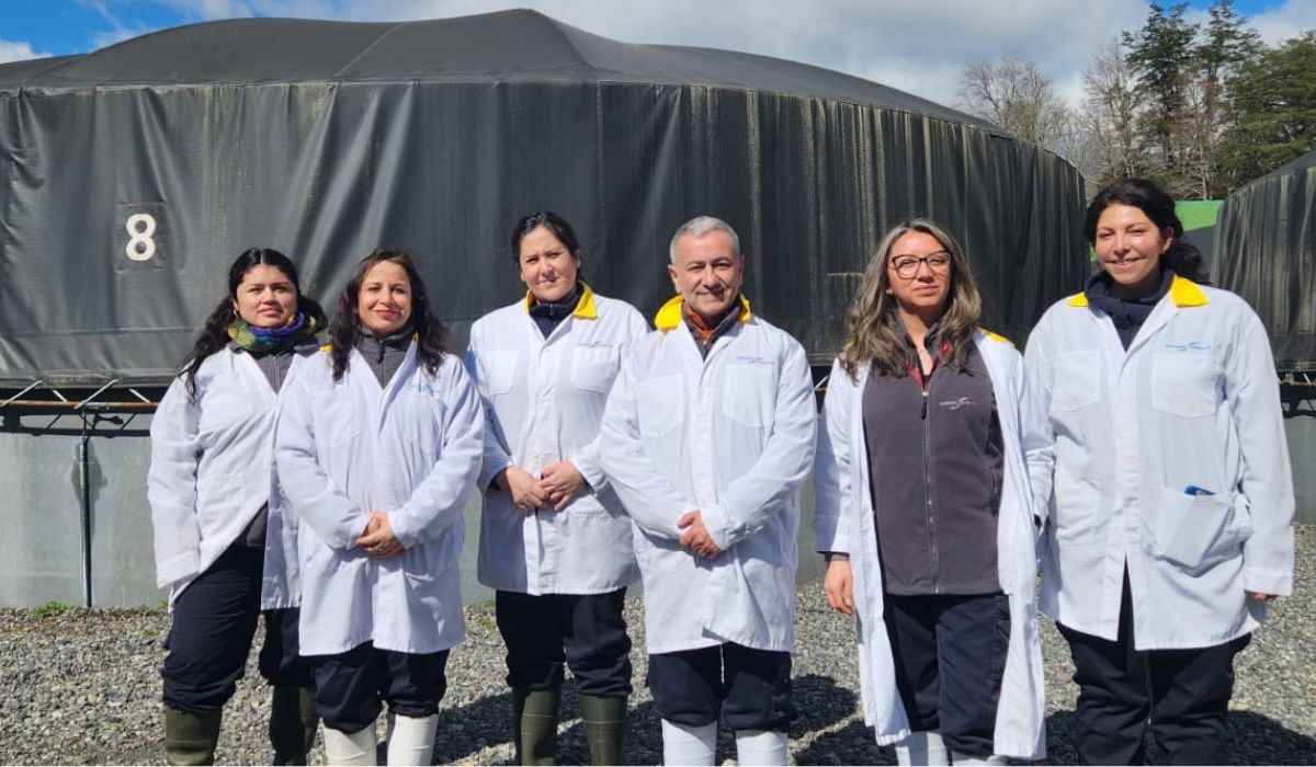 Mujeres representan la mitad de la dotación en piscicultura Catripulli de Hendrix Genetics