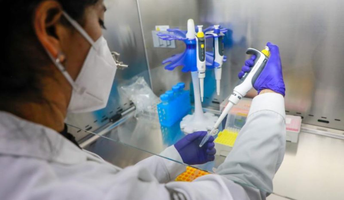 Nueva herramienta busca dar mayor certeza al diagnóstico molecular de IPNV