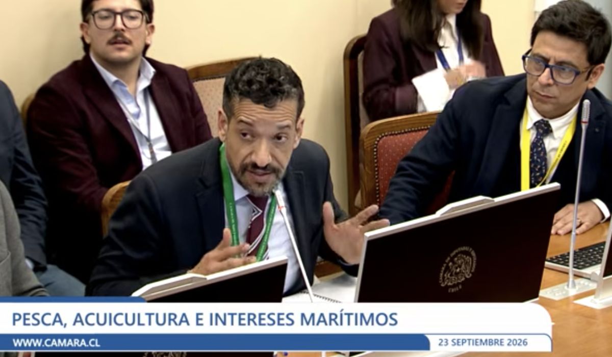Subpesca revisa uso de zanjas sanitarias ante eventual mortalidad masiva de salmones