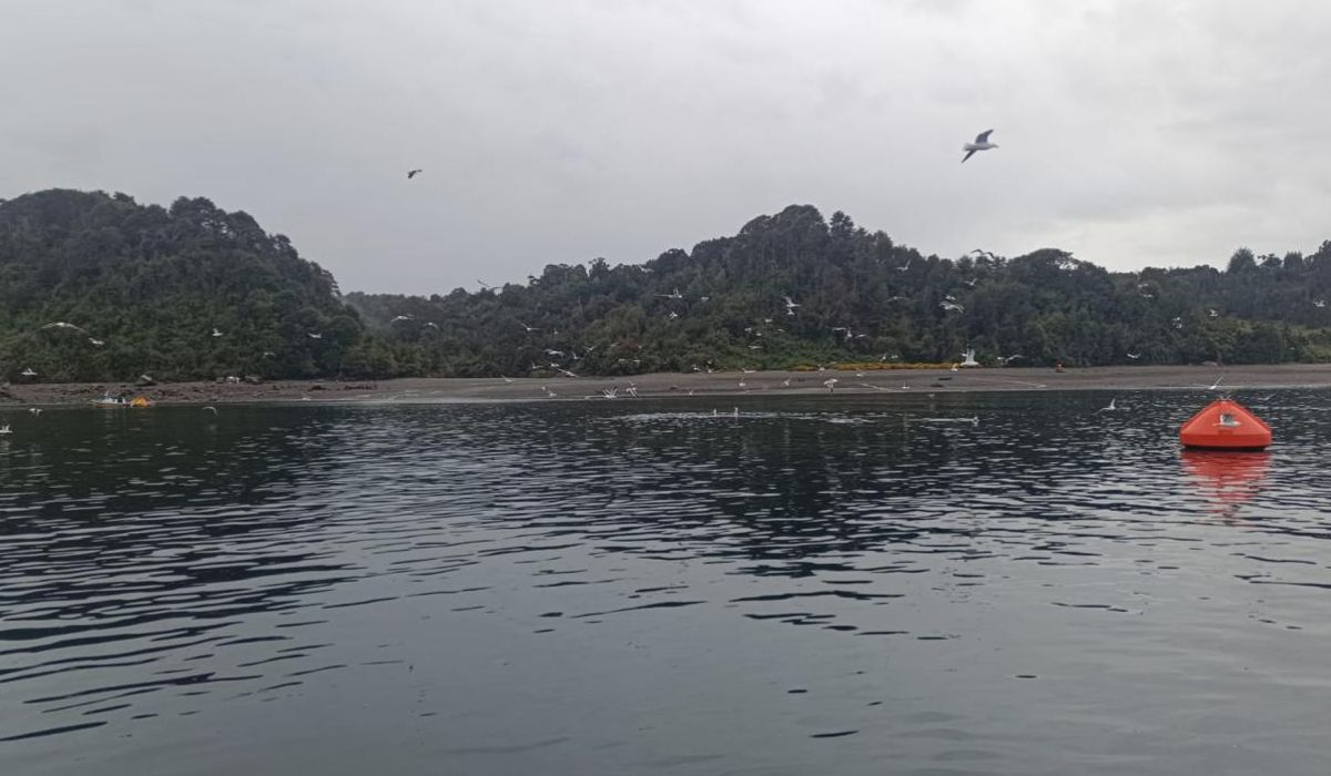 Caleta Bay denuncia sabotaje en centro San Antonio de Calbuco y prepara querella