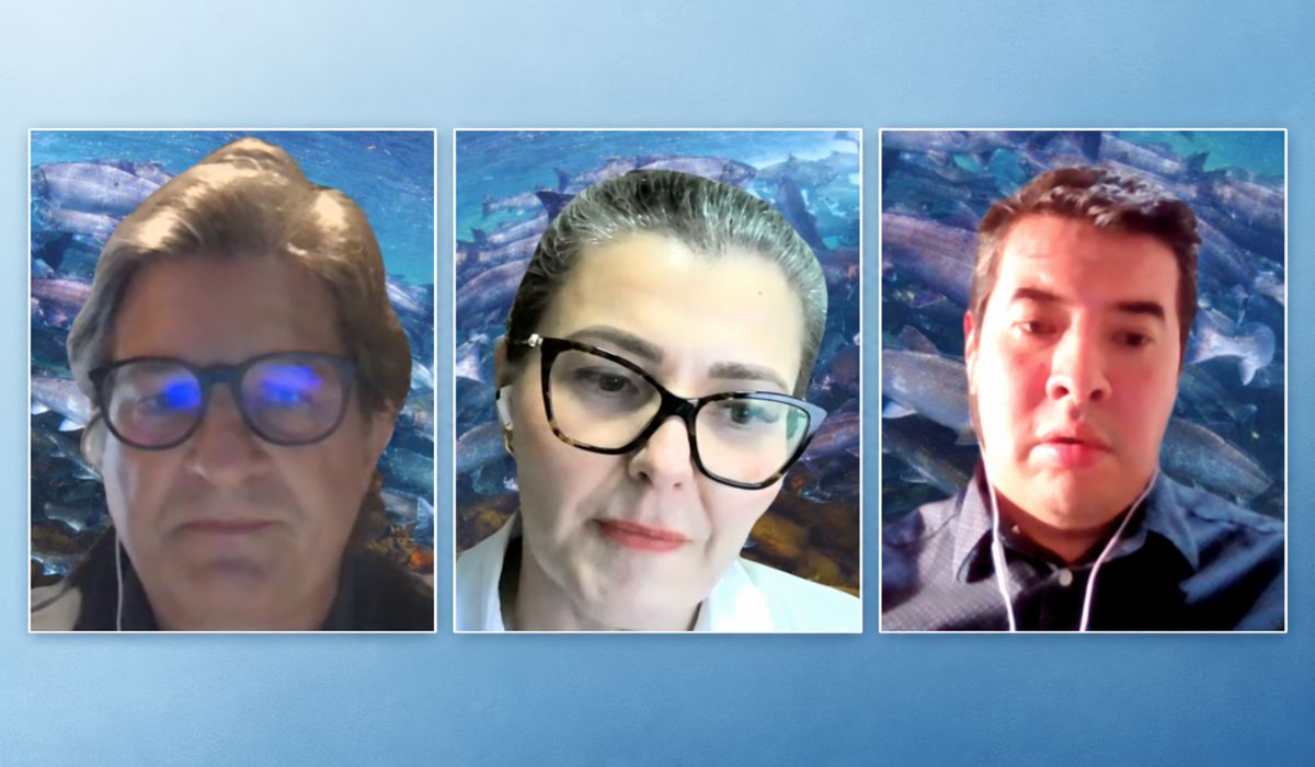 Certified Humane lanza norma para salmón coho: Chile produjo más de 309 mil toneladas en 2025