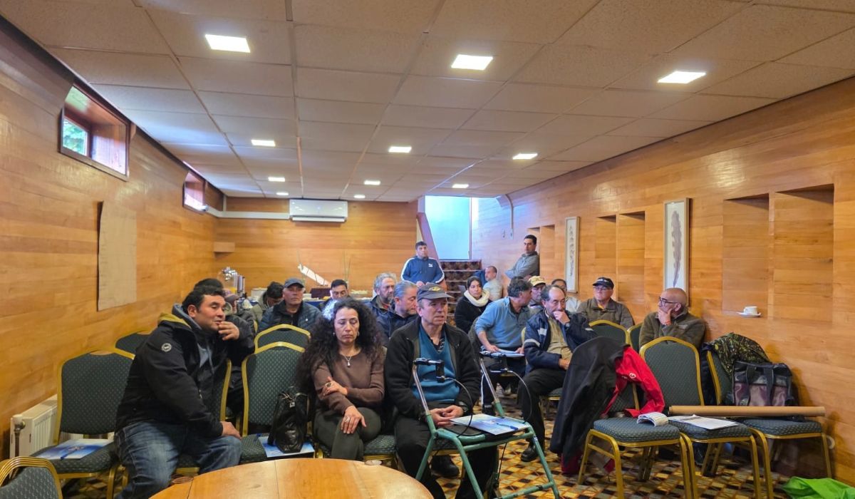 Pescadores de Ancud aportan su experiencia para mejorar manejo del pulpo del sur