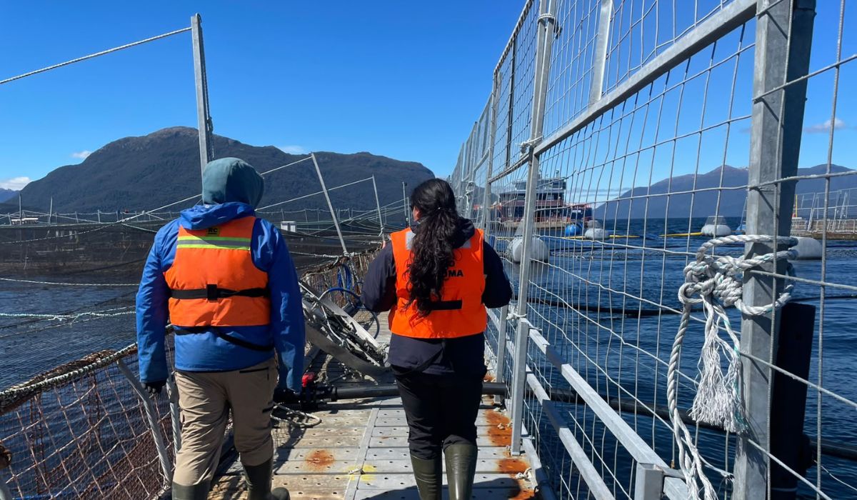 Sernapesca confirma término de cosecha en centro Izaza de Salmones Camanchaca por virus ISA en Aysén