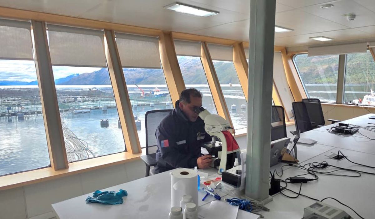Sernapesca da por finalizada contingencia por FAN en centros de Multi X en Magallanes
